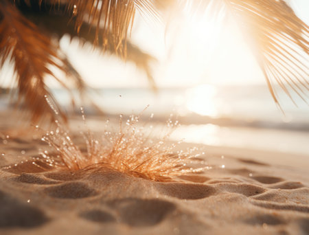 summer sunshine on a beach with palm treesの素材