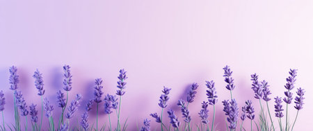 flowers on lavender background,の素材