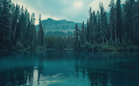 banff, alberta area blue lake in alberta.の素材