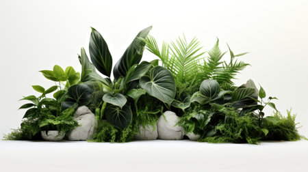 green plant arrangement on white background.の素材
