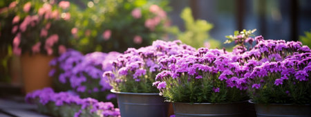 pictures of spring flowers with sun rays.の素材