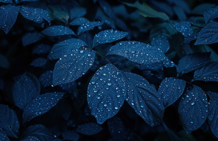 dark blue plant with water drops on it.の素材