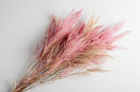 A cluster of pink flowers tightly secured to a white wall with delicate string. The blooms create a striking contrast against the stark backdrop, adding a touch of color and vibrancy to the scene.の素材