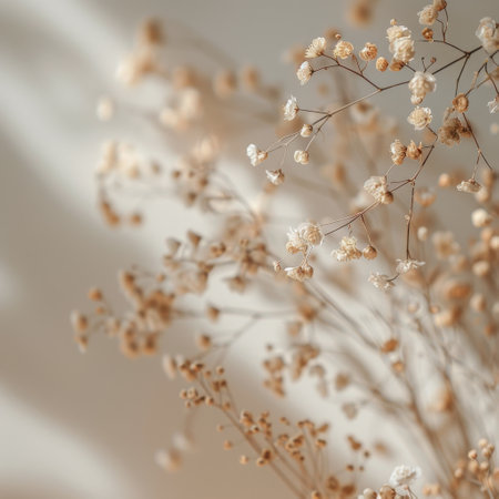 A collection of small white flowers arranged neatly in a clear glass vase.の素材