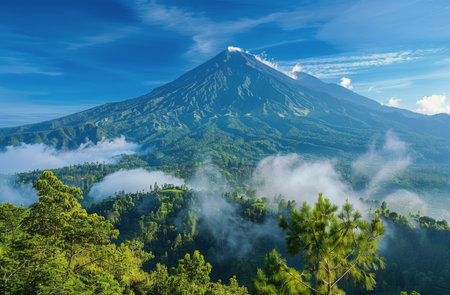 A mountain peak obscured by low-hanging clouds, with dense forest covering its slopes.の素材