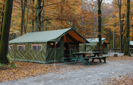 A tent set up in the midst of a dense forest surrounded by tall green trees under the daylight.の素材