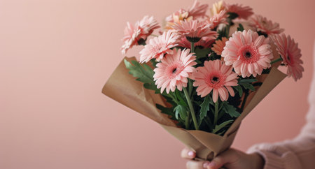 A close-up shot of a bouquet of pink gerbera daisies being held by a person against a light pink background.の素材