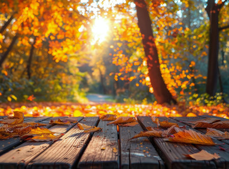 A wooden table top with fallen autumn leaves in the foreground, with a blurred background of colorful trees in an autumn forest.の素材