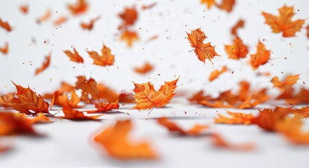 A beautiful image of orange and red leaves falling in the wind against a white background, capturing the essence of autumn.の素材