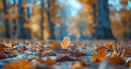 A close-up shot of falling leaves in a forest clearing on a bright, sunny day.の素材
