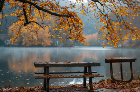 A wooden picnic table sits empty on the edge of a foggy lake surrounded by fallen autumn leaves.の素材