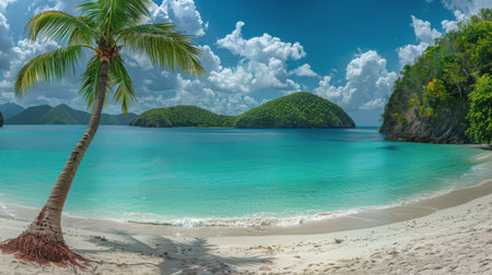 A lone palm tree stands tall on a sandy beach, casting a shadow in the golden sunlight.の素材