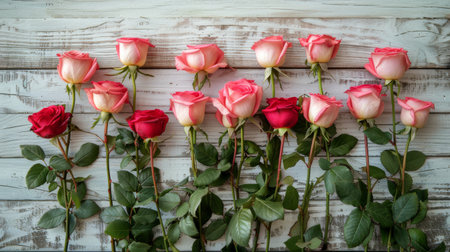 A group of pink roses displayed elegantly on a white wooden surface.の素材