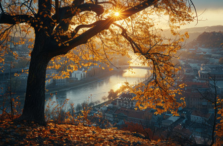 A view from a hillside overlooking a city and river, with a large tree in the foreground. The sun is rising behind the tree, casting golden light on the leaves.の素材