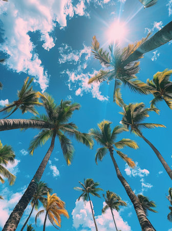 A view from below of palm trees reaching towards a bright blue sky with fluffy white clouds.の素材