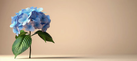 A single blue hydrangea flower with green leaves sits on a light pink background.の素材