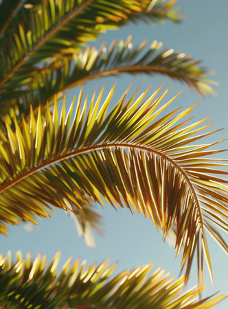 A close-up view of green palm tree fronds against a bright blue sky with white clouds.の素材