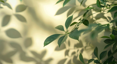 Green leaves of a plant cast shadows on a beige wall. The leaves are illuminated by the sun, creating a soft, natural light.の素材
