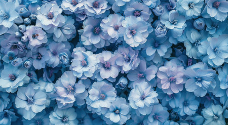 A close-up view of blue flowers with pink centers, highlighting their delicate petals and intricate details. The flowers are in full bloom, showing their beauty.の素材