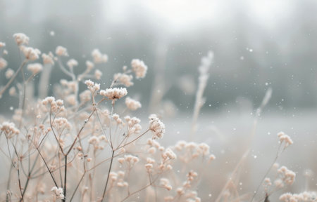 A field of delicate white flowers covered in snow. The branches are bare and the background is blurry, creating a soft, ethereal feel.の素材