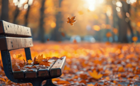 A lone bench sits in a park covered with fallen leaves, the sun shining through the trees creating a warm, inviting atmosphere.の素材