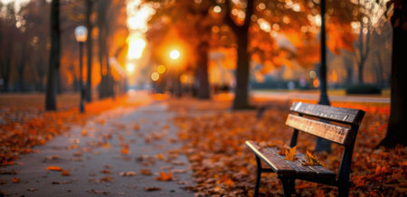A wooden park bench sits on a pathway surrounded by fallen leaves in a park at sunset. The sun is setting in the background, casting a warm glow on the scene. The path leads away from the bench towards the sunset.の素材