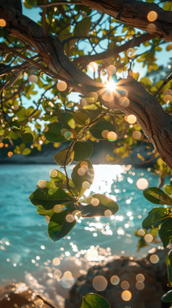 The suns rays shining through the trees on a sandy beach.の素材