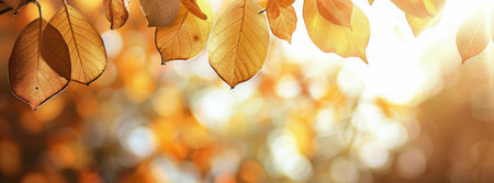 Detailed view of vibrant green leaves on a tree, with visible veins and textures.の素材