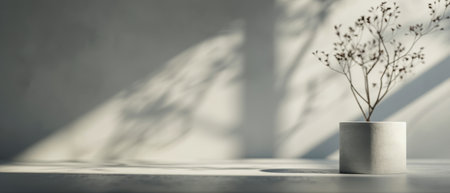 Three white pots with plants are on a white shelf against a white wall. The sunlight casts soft shadows on the wall and the shelf.の素材
