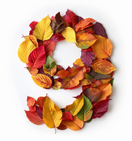 Colorful autumn leaves in shades of red, orange, yellow, and green are creatively arranged to form the shape of the number nine against a clean white background.の素材