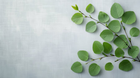 A cluster of vibrant green leaves rests gently on a soft, textured fabric, showing their intricate veins and natural beauty in a serene arrangement.の素材
