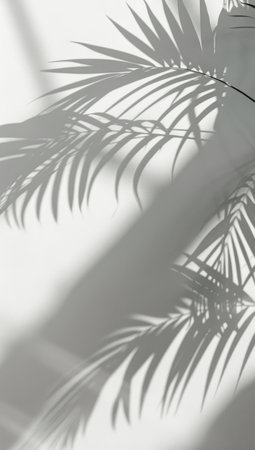 Palm tree leaves casting a shadow on a wall, creating a pattern of light and dark shapes.の素材