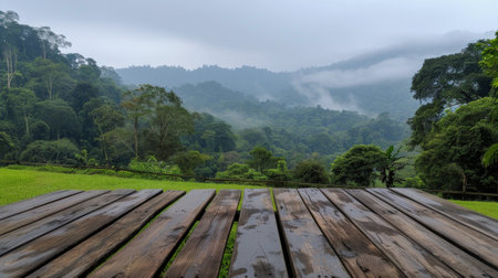 A delicate arrangement of greenery and flowers in a smooth pot sits on a wooden table, with rolling green mountains and misty clouds creating a tranquil backdrop in the early morning light.の素材