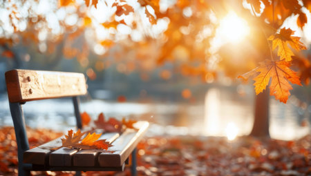 A wooden bench sits in a serene park as the sun sets, casting warm hues across the autumn landscape adorned with fallen leaves. The soft light illuminates the distant hills and trees.の素材