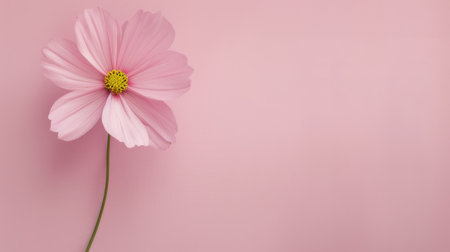 A delicate pink flower blooms in a white vase, standing out against a soft pink backdrop, creating a serene and charming ambiance perfect for home decor or floral arrangements.の素材