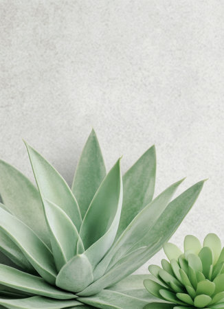 A lush green succulent plant is displayed in a simple white pot, sitting on a smooth marble surface, complemented by a soft light background that enhances the natural beauty of the plant.の素材