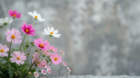 A colorful array of wildflowers in various shades of pink, yellow, and orange thrives against a soft blue background, signaling the arrival of spring and the beauty of nature's seasonal transformation.の素材