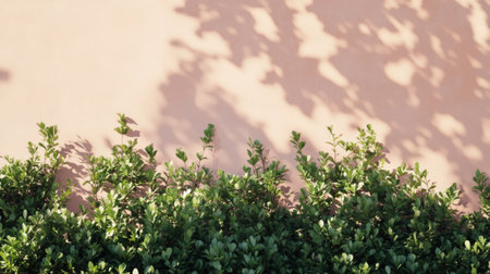 Lush green plants line a pink wall, casting delicate shadows as the warm light of sunset enhances their vibrant colors and shapes, creating a serene and calming atmosphere.の素材