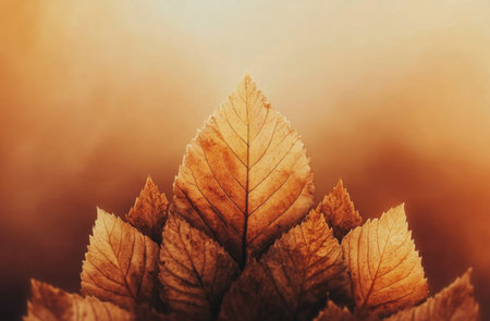 Two brightly colored leaves display rich shades of yellow and brown, showing the beauty of autumn against a warm yellow background. The effortless arrangement highlights seasonal change.の素材