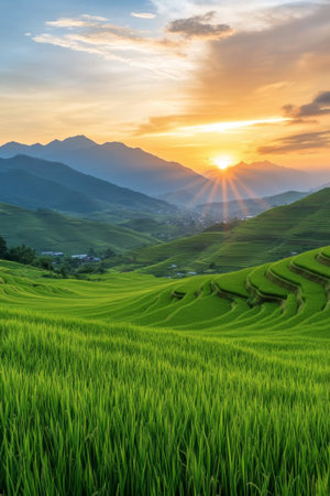 Golden sunlight casts a warm glow over the terraced rice fields, highlighting the lush green patterns. The mountains stand tall in the background as the day transitions to night.の素材