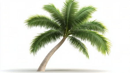The palm tree features a slender trunk and expansive, vibrant green fronds swaying gently in the warm sunlight. Its shadow is cast softly on the fine sand, creating a serene atmosphere.の素材