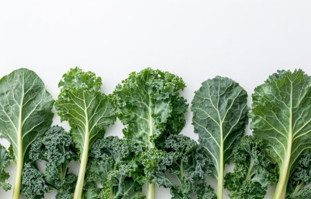 A collection of vibrant collard green leaves is displayed on a plain white background, highlighting their rich color and fresh appearance, perfect for various culinary uses or salads.の素材
