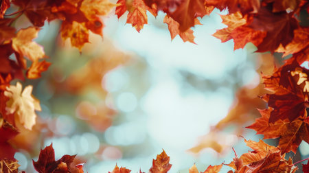 A frame of various fall leaves in shades of red, orange, and yellow arranged around a white background. The leaves are scattered around the edge of the frame, leaving a white space in the center.の素材