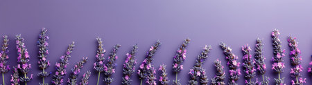 A border of lavender flowers against a pink background.の素材
