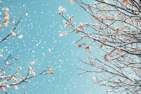 Delicate branches covered in snow create a peaceful winter atmosphere, as soft sunlight filters through. Snowflakes gently fall, adding to the tranquil beauty of the scene.の素材