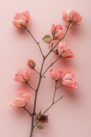 A branch adorned with delicate pink flowers rests against a soft pastel background, showing the beauty of springtime blooms. The petals reflect a gentle elegance and freshness.の素材