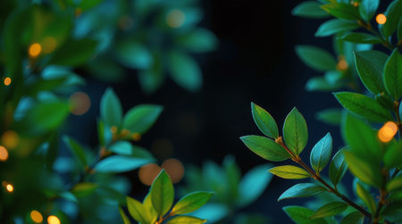 Green leaves are surrounded by warm, soft lights creating a serene atmosphere. This peaceful arrangement highlights the natural beauty of foliage at night, inviting relaxation.の素材