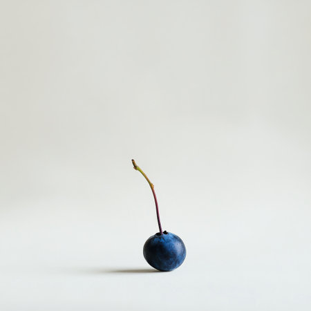 A solitary blueberry with a vibrant dark blue hue sits on a plain, light background. The natural sheen highlights its surface and small stem, creating a simple yet striking presentation.の素材