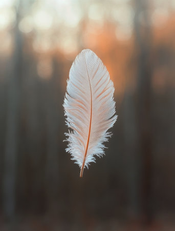 A close-up of a light white feather, softly illuminated, appears to float in mid-air. In the background, a blurred landscape reveals trees and a subtle mist, creating a tranquil atmosphere.の素材
