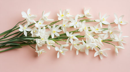 A beautiful arrangement of snowdrop flowers showcases delicate white blooms with green leaves, set against a soft pink background, perfect for celebrating spring.の素材